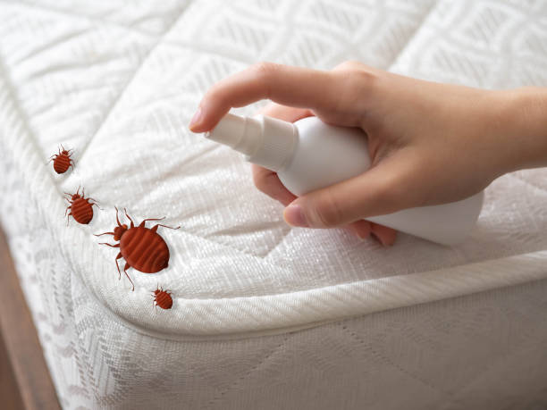 Real Estate Pest Inspections in Byron, GA